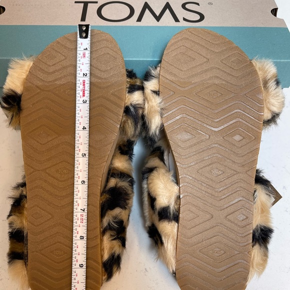 TOMS Slides - Picture 14 of 15